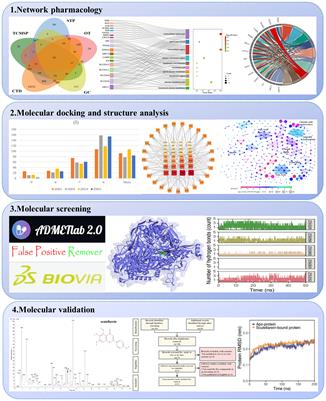 Identification of inhibitors from a functional food-based plant Perillae Folium against hyperuricemia via metabolomics profiling, network pharmacology and all-atom molecular dynamics simulations
